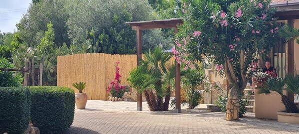 A garden with a pergola, potted plants, and a stone wall.