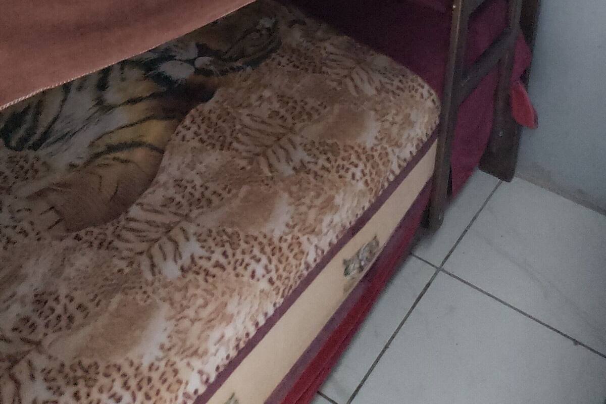 Habitación básica con 2 camas individuales | Ropa de cama
