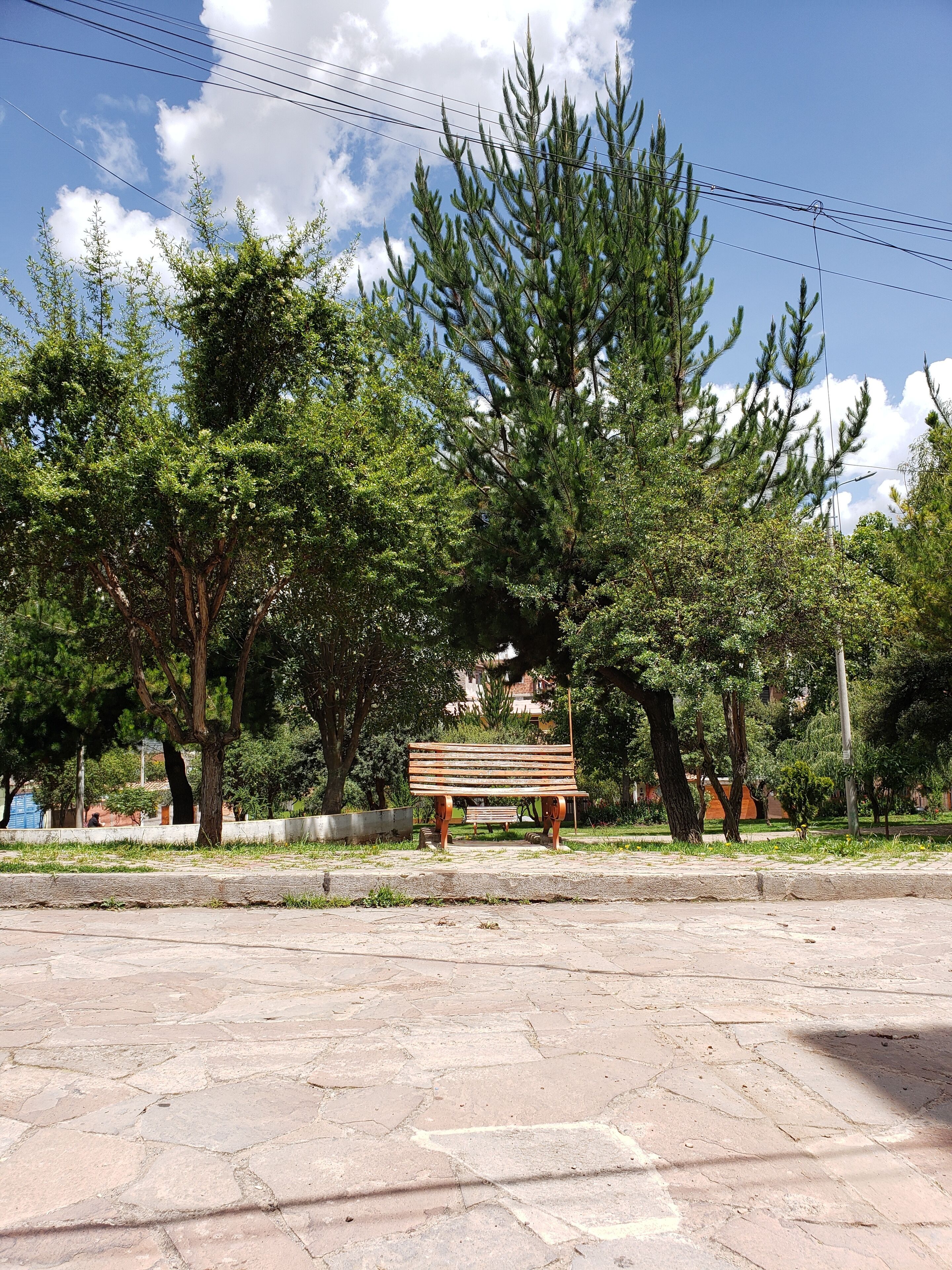A park with a wooden bench, trees, and a paved walkway.