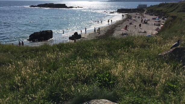 Un paysage de plage côtière avec des affleurements rocheux, une plage de sable et une berge herbeuse.