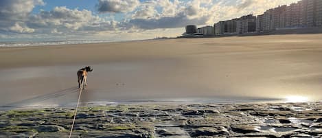On the beach, sun loungers