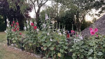 Een tuin met bloeiende planten en een houten constructie.