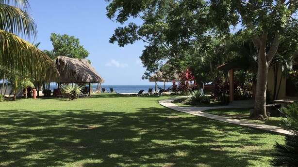 Un jardín tropical con una estructura de techo de paja, un sendero y vista al mar.