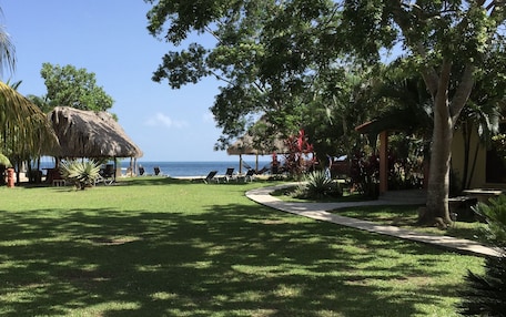 A tropical garden with a thatched-roof structure, a pathway, and a view of the sea.
