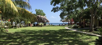 Un jardín tropical con una estructura de techo de paja, un sendero y vista al mar.