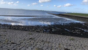 Un paysage côtier caractérisé par une rive rocheuse, une promenade dallée et une vue lointaine sur un phare.
