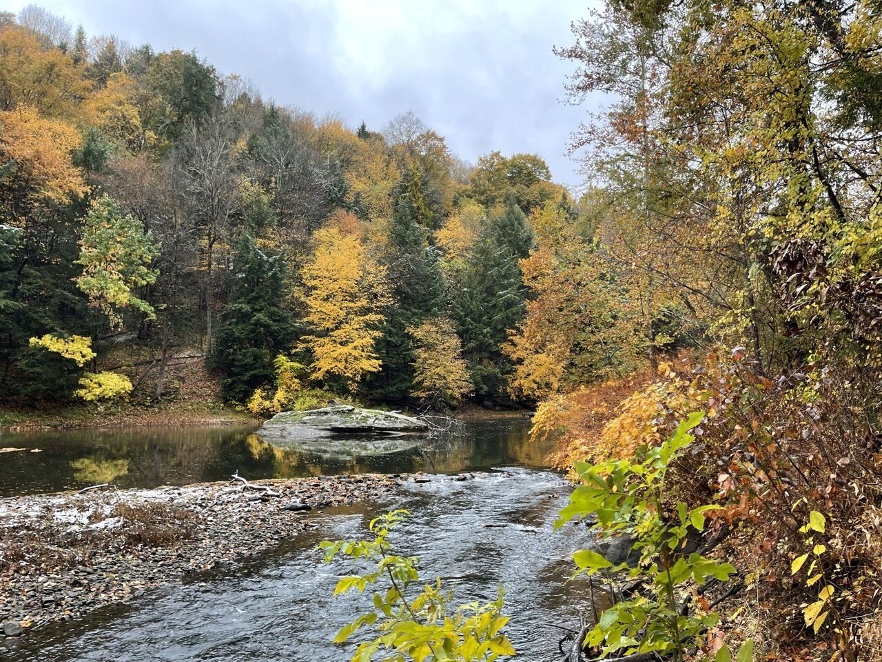 Une rivière qui traverse une forêt aux couleurs automnales.