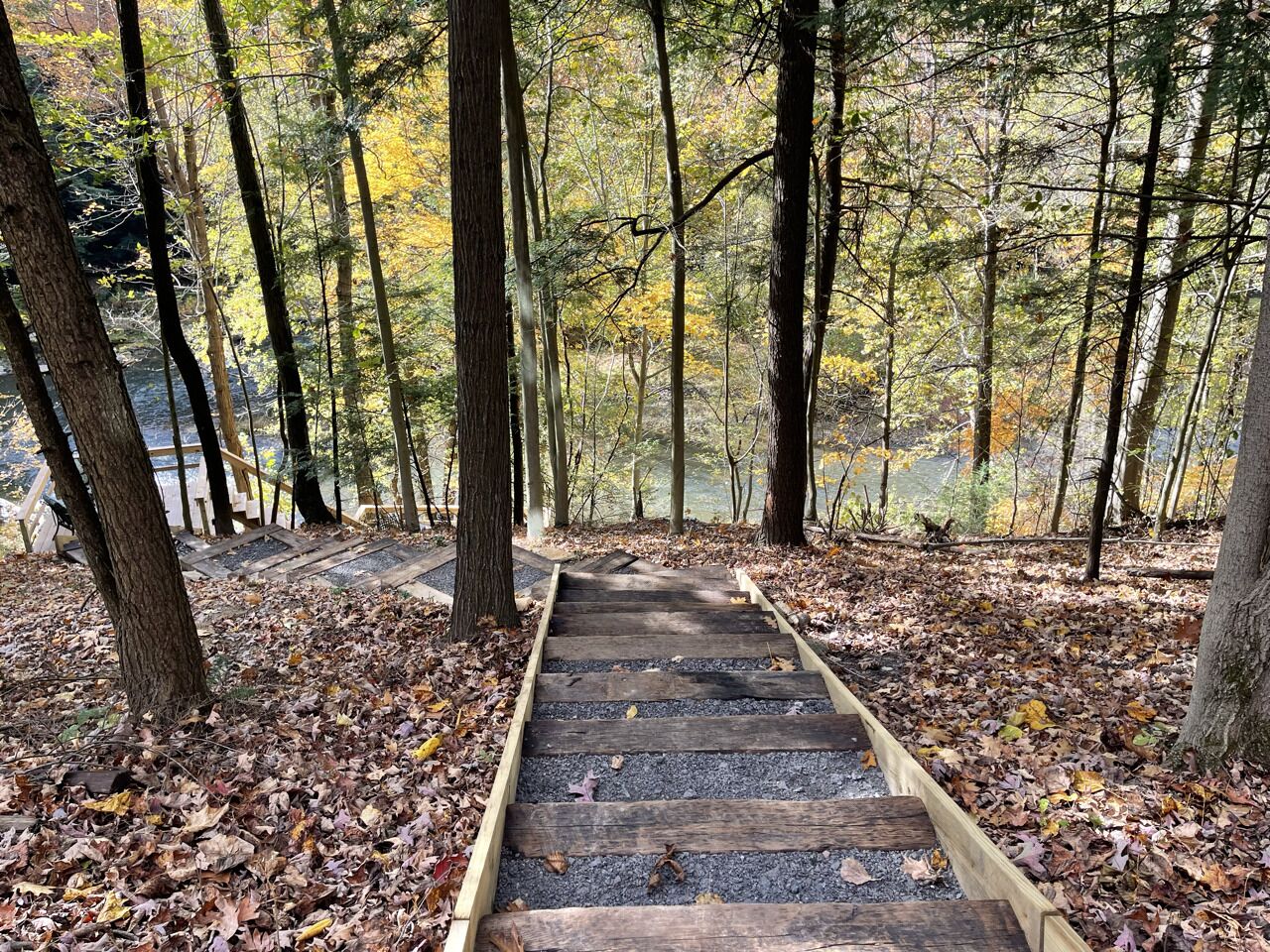 A wooden pathway in a forested area with trees and fallen leaves.