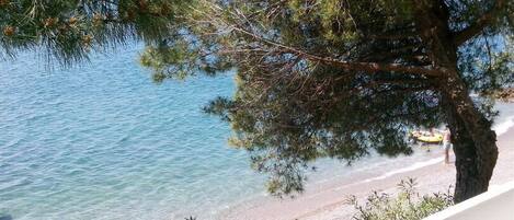 Vista de una playa con agua cristalina, un árbol y una persona a lo lejos.