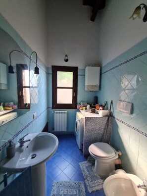 Regadera, secadora de cabello, bidet, toallas