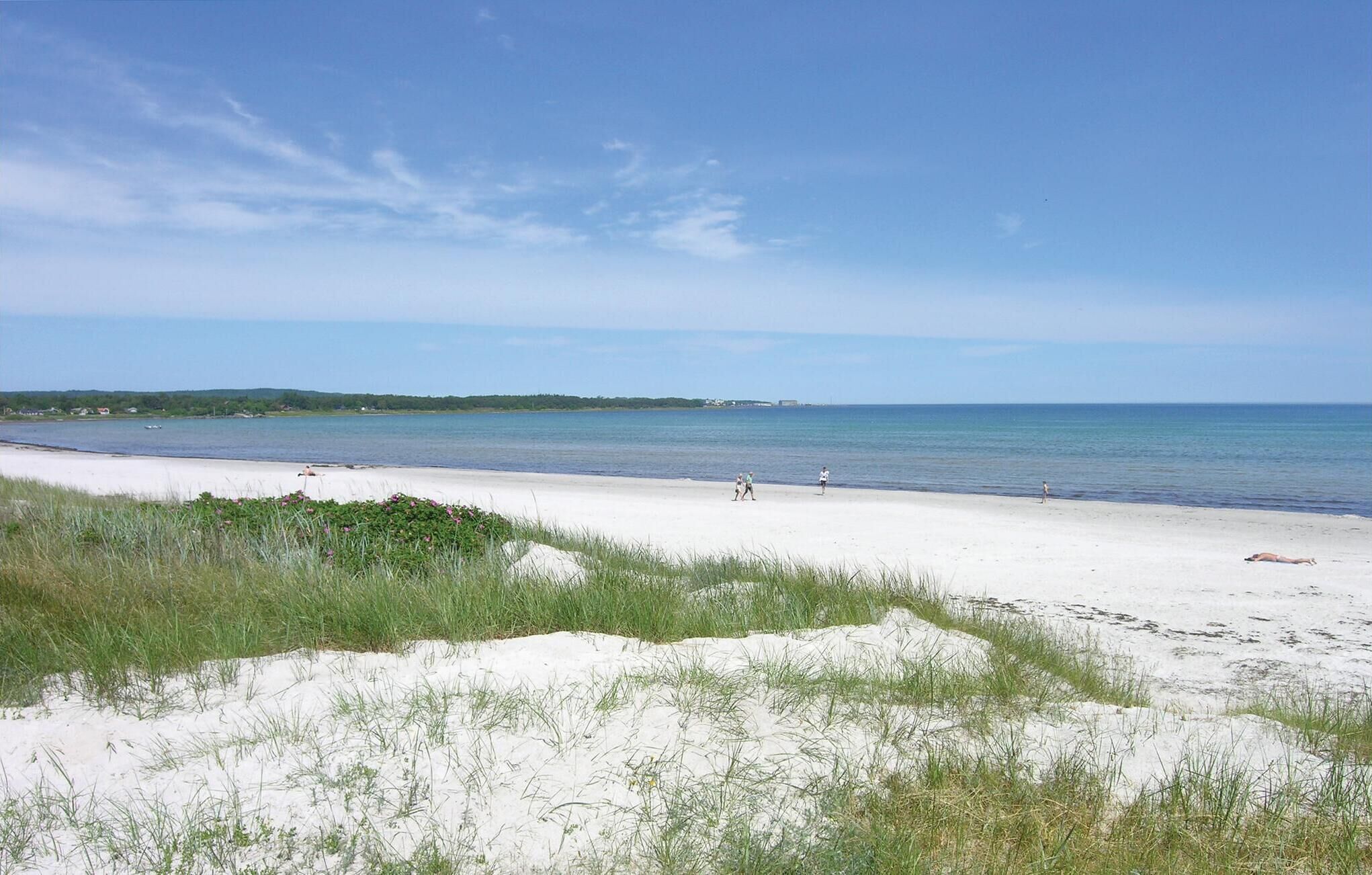 بالقرب من الشاطئ