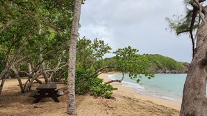 A beach with a picnic table and trees. - Studio abricot 309 (La Trinité)
