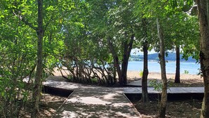 A wooden pathway leading to a beach, surrounded by trees. - Studio abricot 309 (La Trinité)