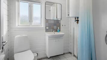 Shower, hair dryer