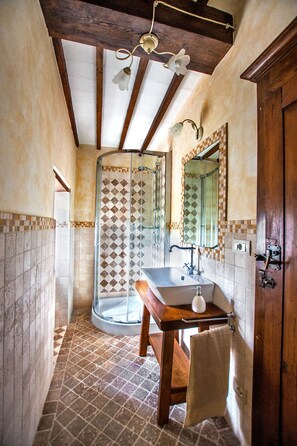 Shower, hair dryer, bidet, towels - Tuscan Villa private infinity pool, exclusive location, AC, extra services (cortona)