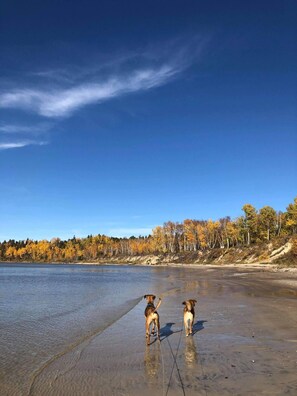 Beach - Book Two Nights, Get Two Free! Cabin in Belair Properties (Bélair)