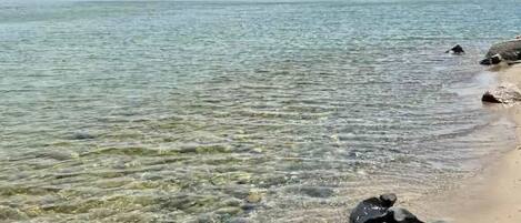 Camastros y toallas de playa
