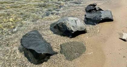 Traverse City - West Bayshore Retreat - 100’ of Private Beach - Luxurious House