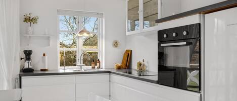 Fridge, stovetop, dishwasher, coffee/tea maker