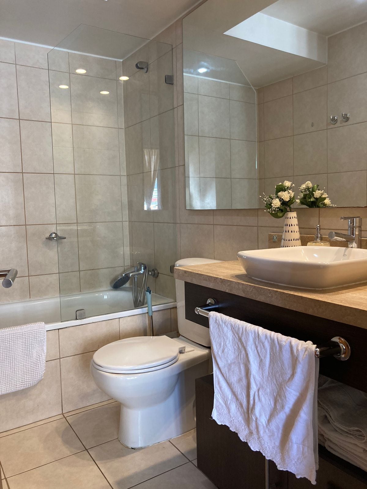 Apartamento família | Banheiro | Toalhas de banho, papel higiênico