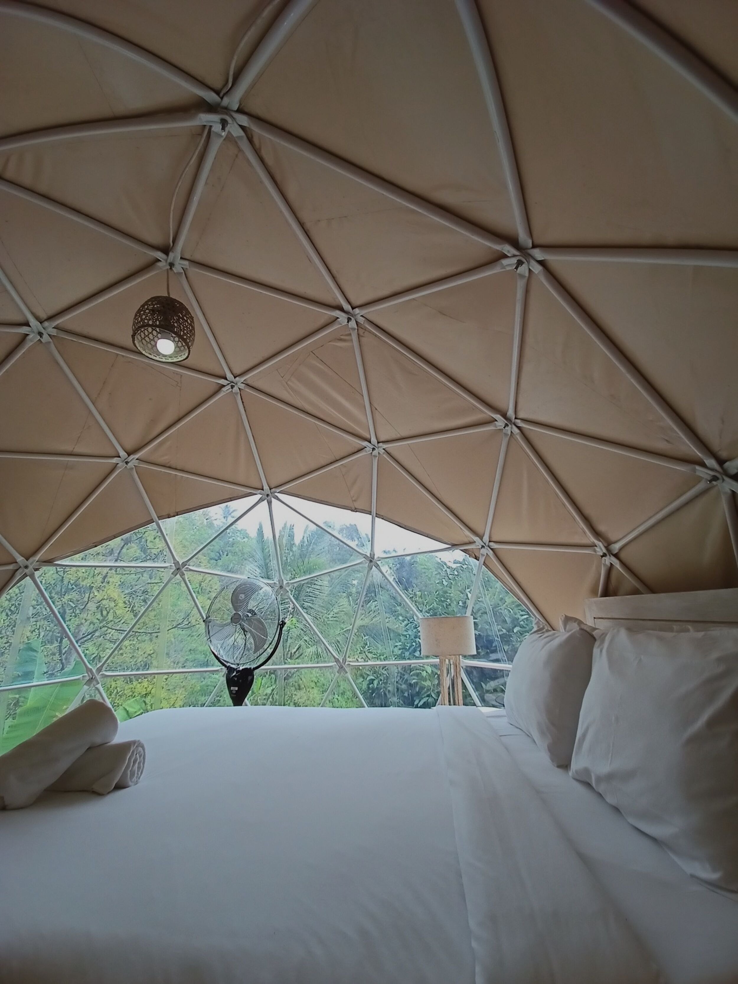Una habitación con tienda de campaña, una cama, un ventilador y vistas al verdor exterior.