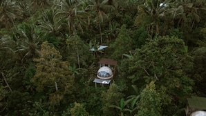 An aerial view of a forested area with two dome-shaped structures, one larger and one smaller, surrounded by dense vegetation. - Bali Jungle Camping (Pupuan)