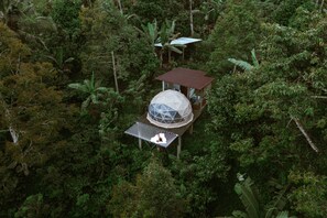 Una estructura en forma de cúpula rodeada de un bosque denso, con un edificio pequeño cercano.