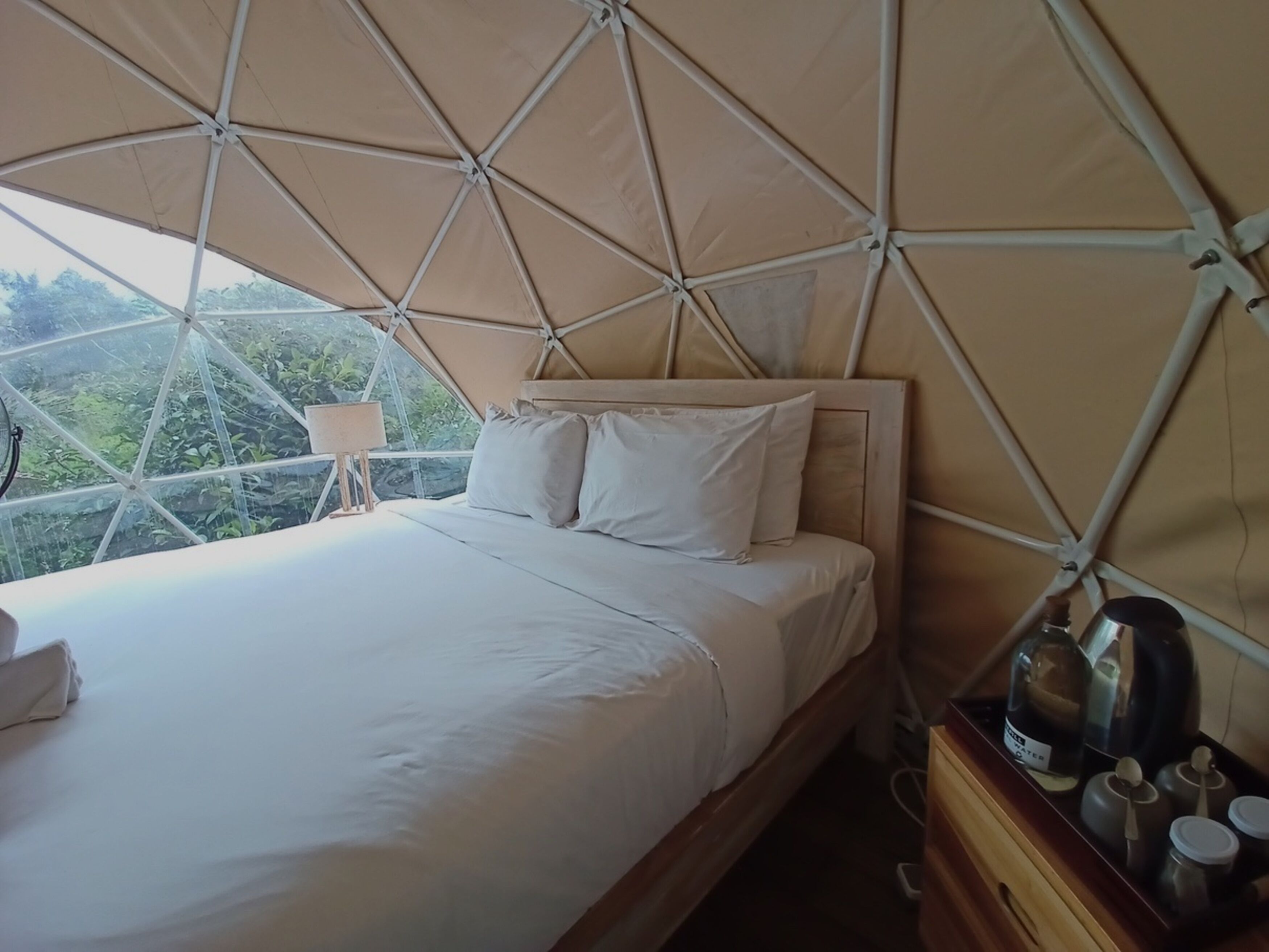 A bed with a headboard, a bedside table with a lamp, and a view of greenery outside.