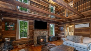 TV, fireplace, books, video library