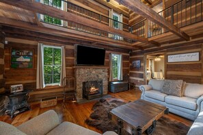 Fernseher, Kamin, Bücher, Videothek