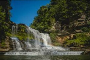 Surrounded by lush greenery, this serene setting features a natural waterfall cascading into a tranquil pool.