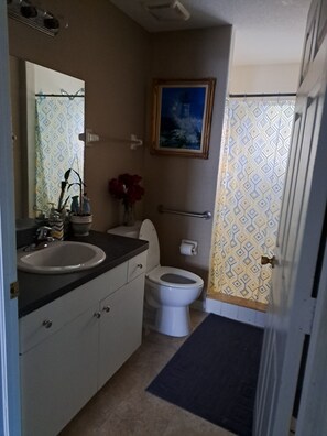 シャワー、ヘアドライヤー、タオル、石鹸