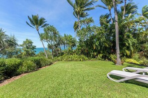 Property grounds - Freshly Renovated w/ Views - Walk to Beach & Town (Port Douglas)