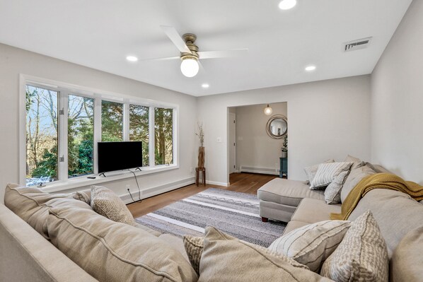 Smart TV, fireplace, books, stereo