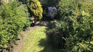 House | Property grounds