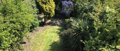 House | Property grounds