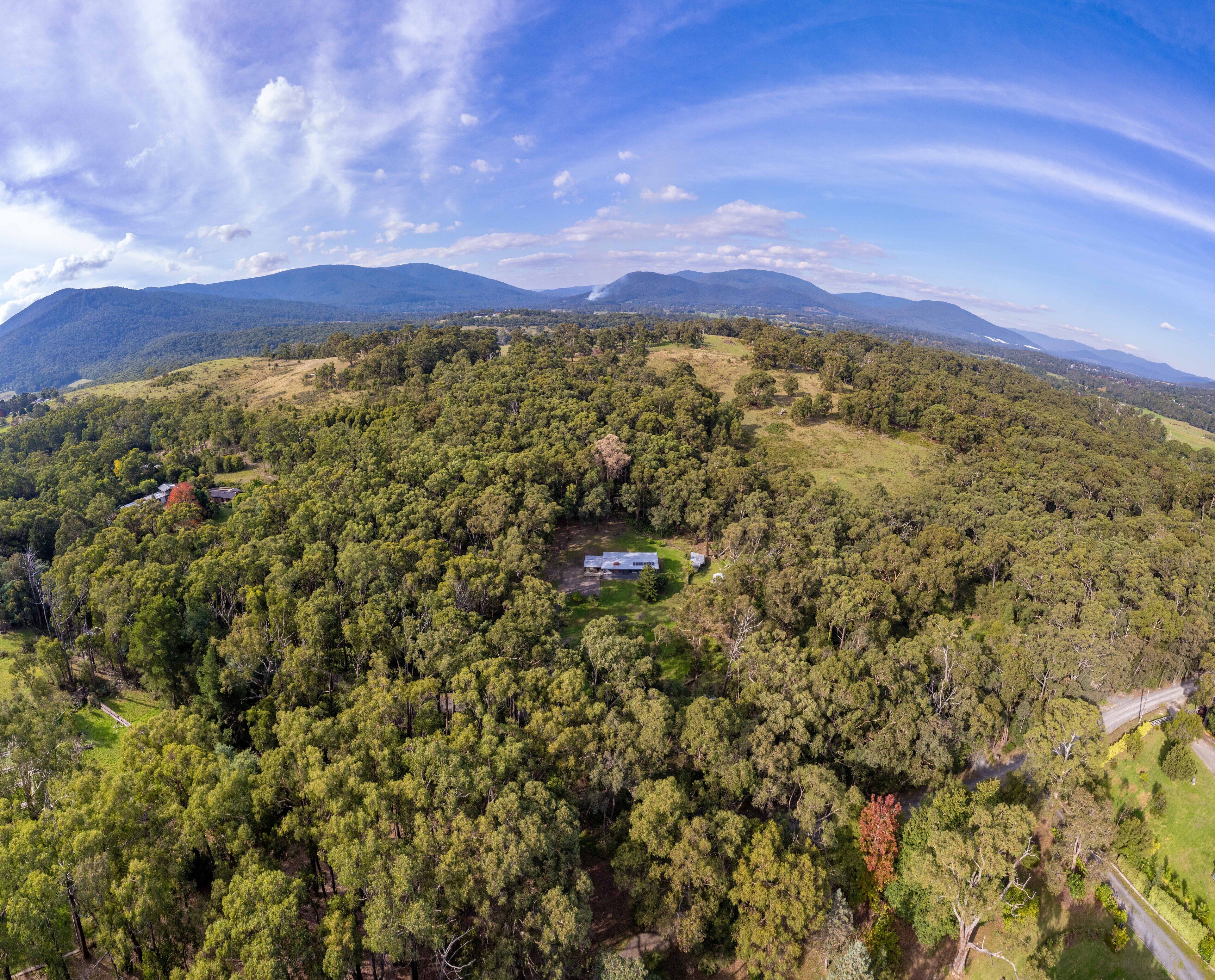 Vista aérea de una zona boscosa con un edificio pequeño rodeado de árboles densos.
