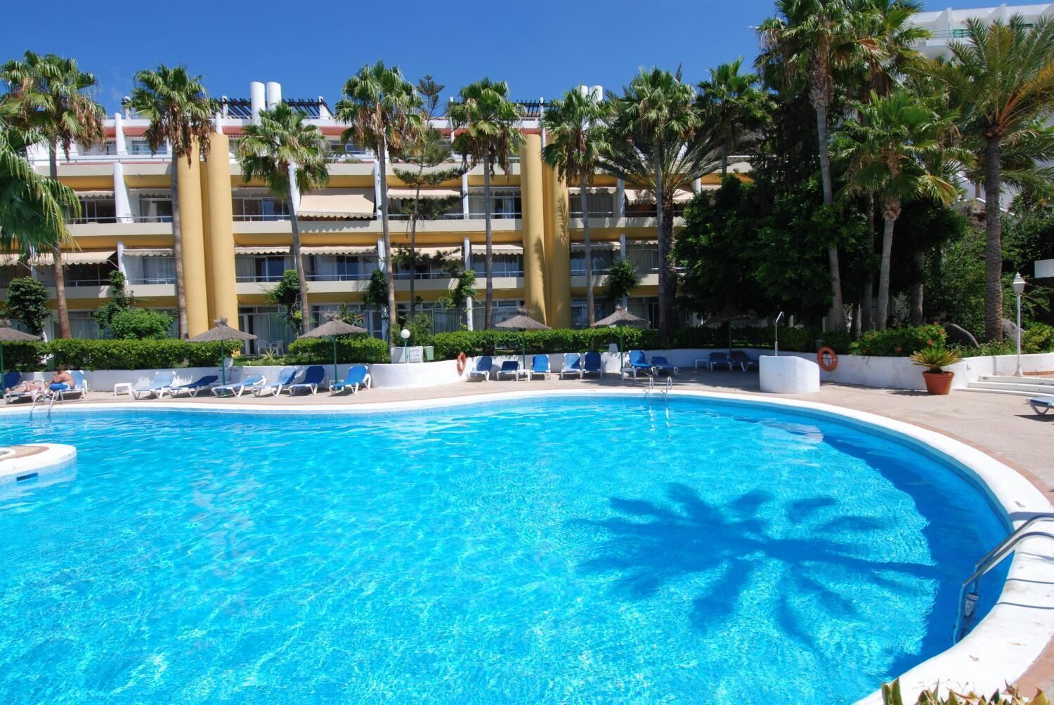 A swimming pool with lounge chairs and palm trees.