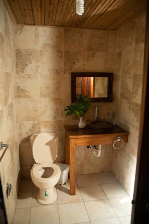 Bathroom features a single sink, toilet, and potted plant.