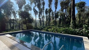 Una piscina con agua cristalina azul, rodeada de árboles y un solárium con baldosas.