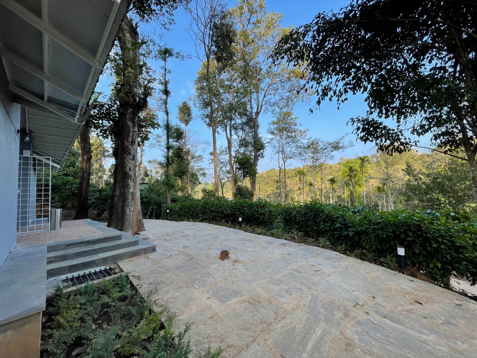 A paved outdoor area with steps leading to a covered entrance, surrounded by dense greenery and tall trees.