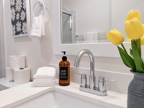 Secadora de cabello, toallas, jabón, shampoo