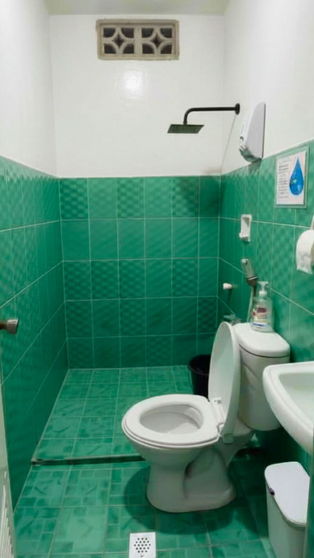 Un baño con azulejos verdes, un inodoro blanco, un lavamanos y una ducha.