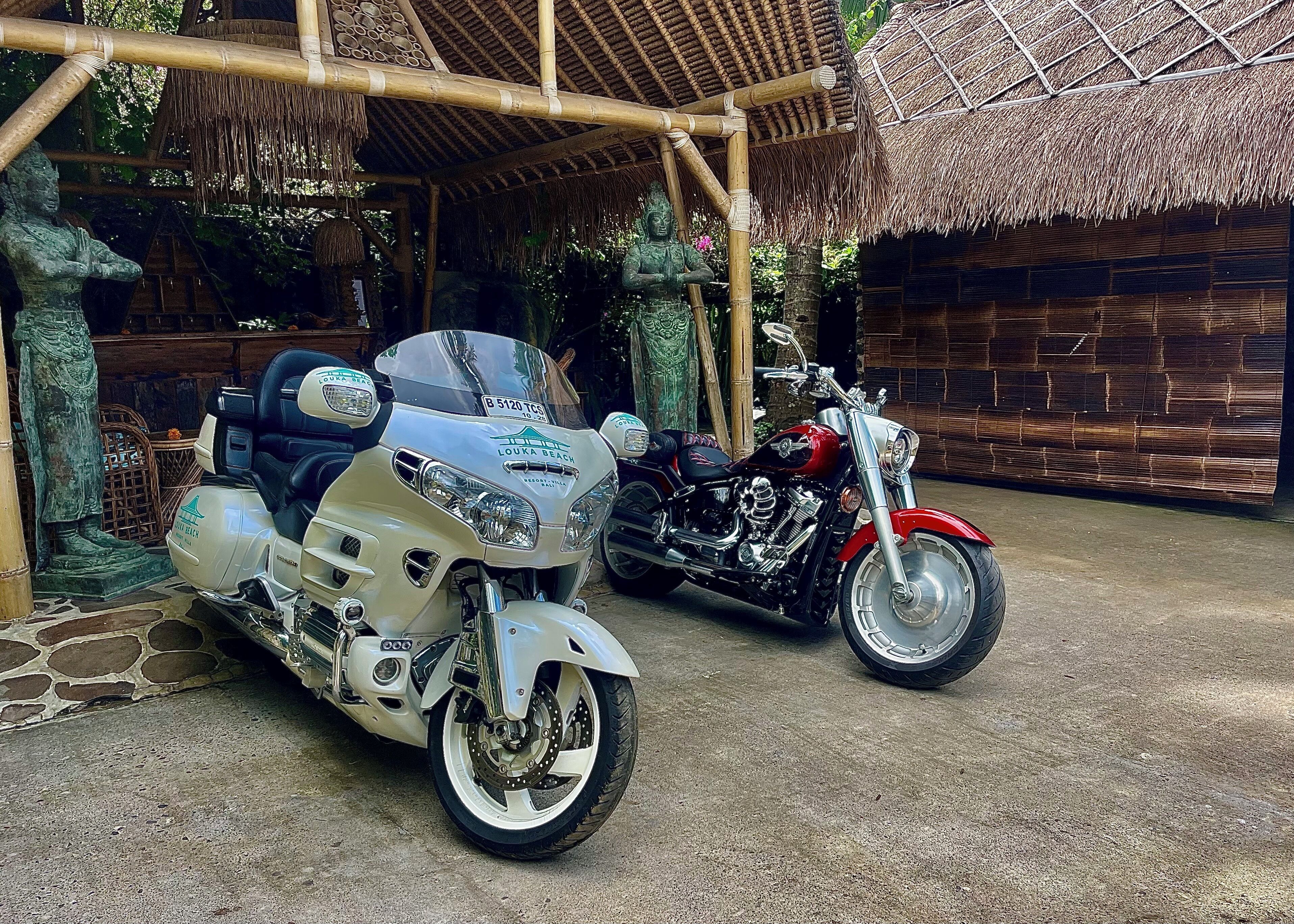 Game drive