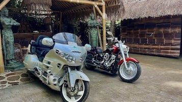 Game drive