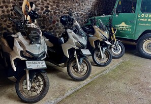 Game drive - Louka Beach Bali (Kubu)
