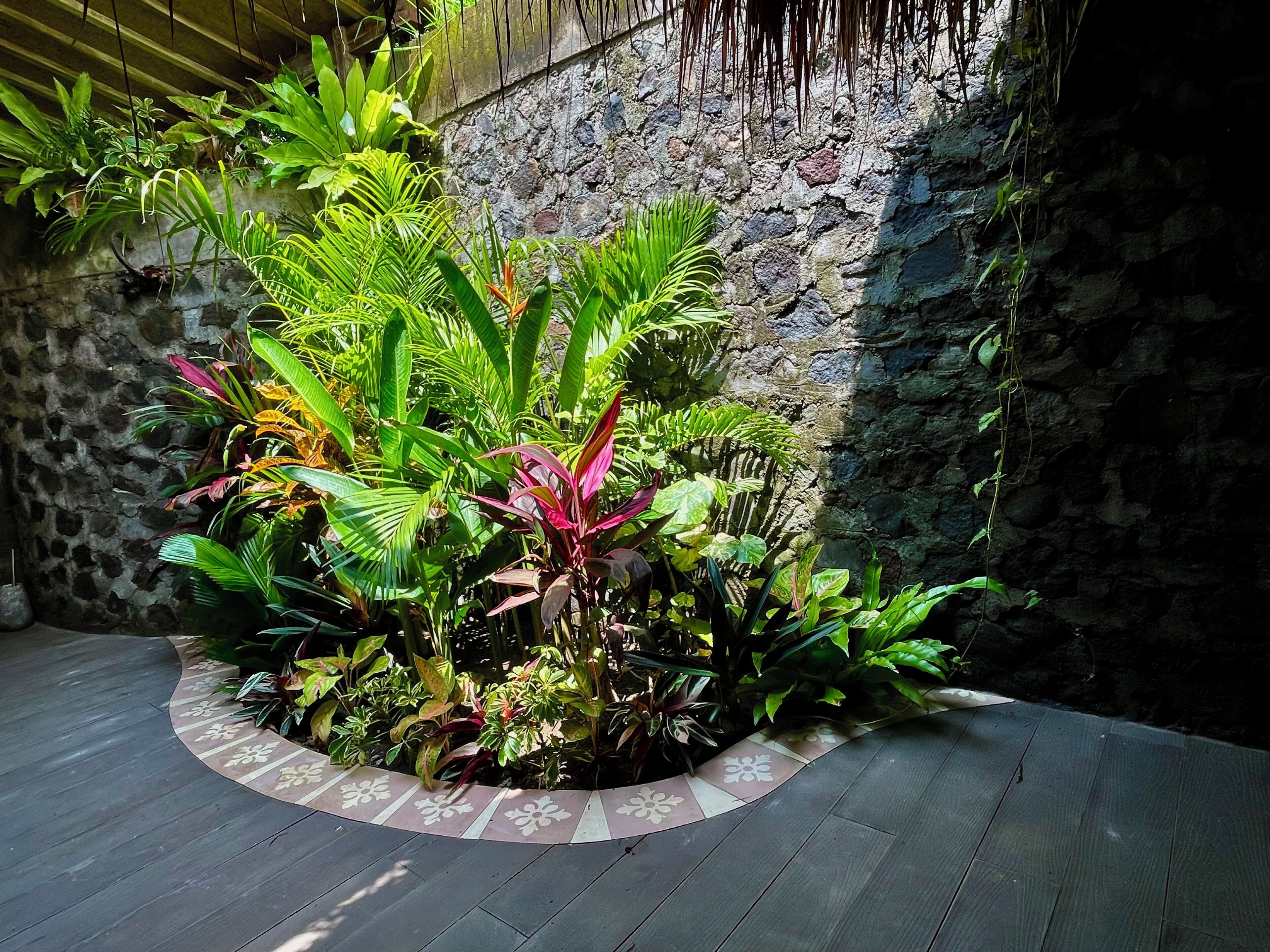 Un muro de piedra con exuberante follaje tropical en un macizo circular.