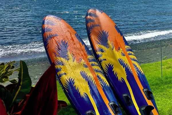 Paseos en bote
