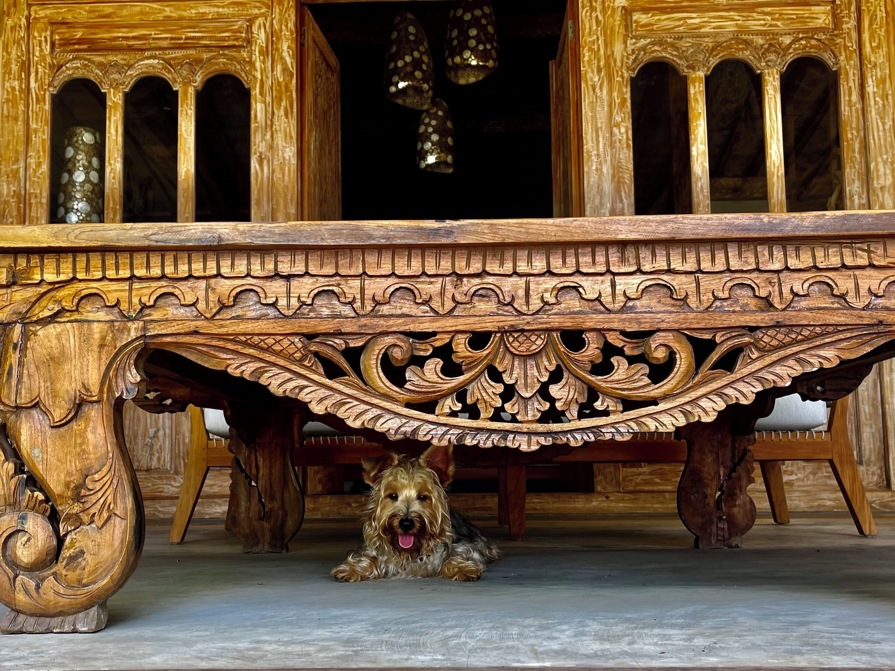 Royal Villa | Terrace/patio