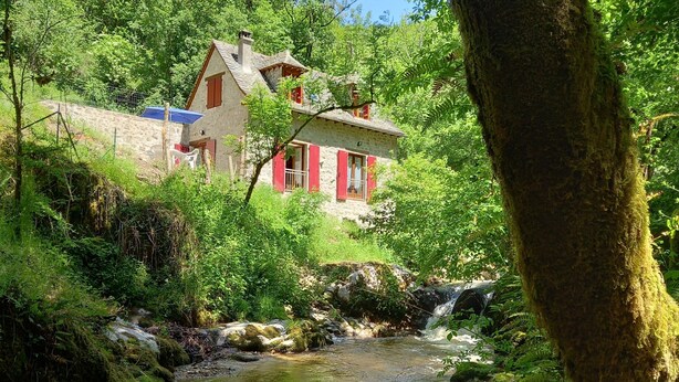 A stone house with red shutters and a thatched roof, surrounded by lush greenery and a flowing stream.